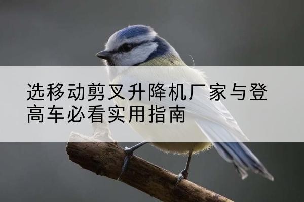 凌源电动升降机厂家-选移动剪叉升降机厂家与登高车必看实用指南