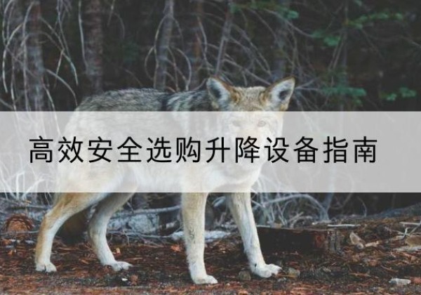 凌源升降货梯厂家推荐-*安全选购升降设备指南