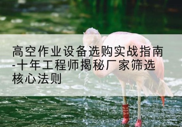 凌源剪叉式升降机厂家-高空作业设备选购实战指南-十年工程师揭秘厂家筛选核心法则